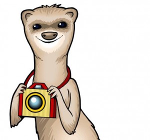 Make Friends with Foto Ferret on Facebook